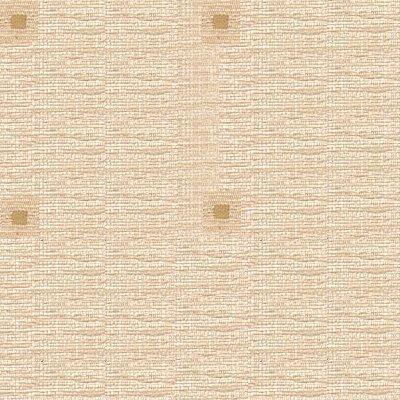 013 - Beige Print Fabric