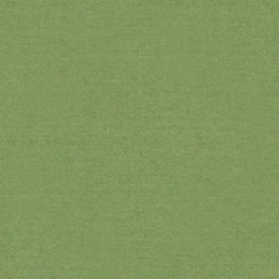 024 - Green Fabric