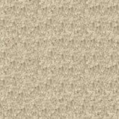 016 - Carpet