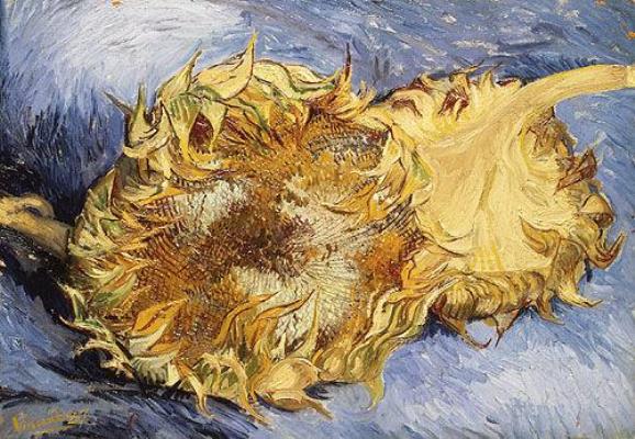 Van Gogh - Vincent Sunflowers