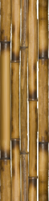 026 - Bambu