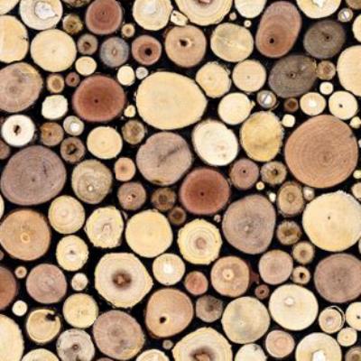 038 - Firewood