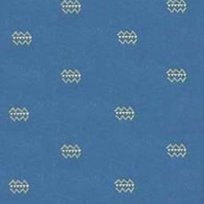 003 - Blue Print Fabric