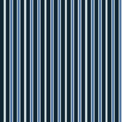 008 - Striped Fabric