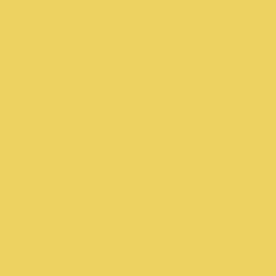 008 - 黄色