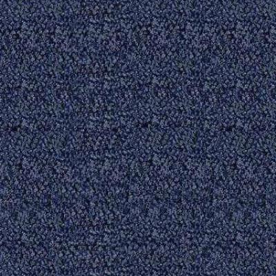 013 - Blue Fabric