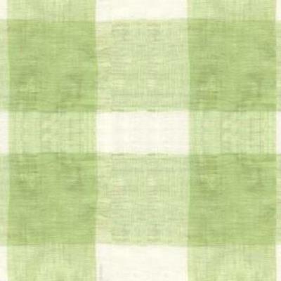 007 - Green Print Fabric