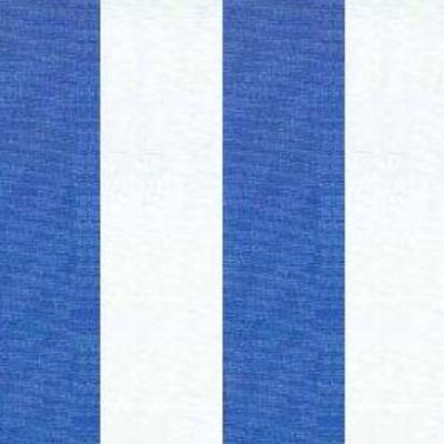 009 - Blue Print Fabric