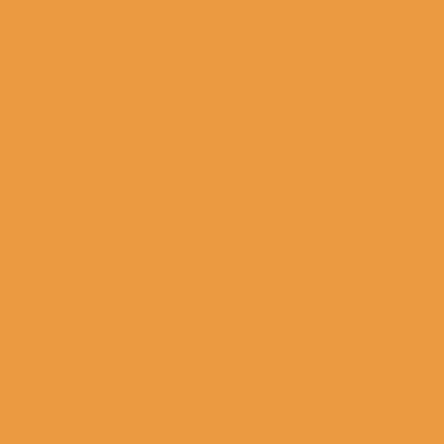 010 - Orange