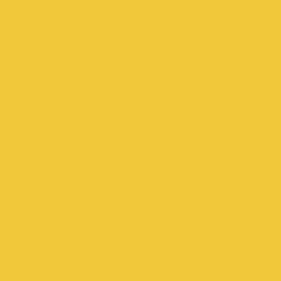 009 - 黄色