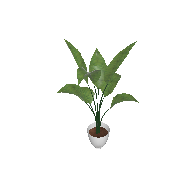 Plant 06